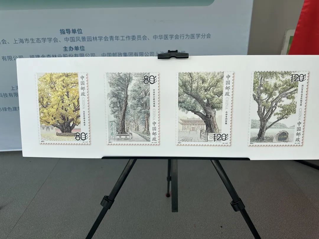 全國生態(tài)日來了！福建金森攜手舉辦上?！吧胶Ｍ铡ば雍糜心恪被顒?/></p><p style=